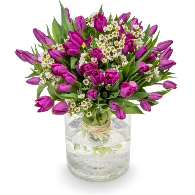 Kytice fialových tulipánů